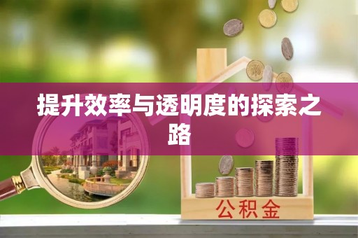韩城提升效率与透明度的探索之路