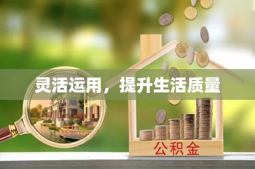 韩城灵活运用，提升生活质量