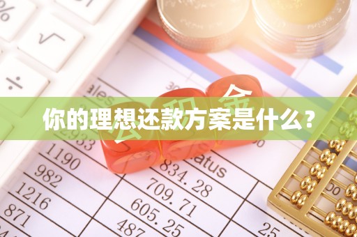 韩城你的理想还款方案是什么？