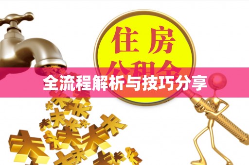 韩城全流程解析与技巧分享